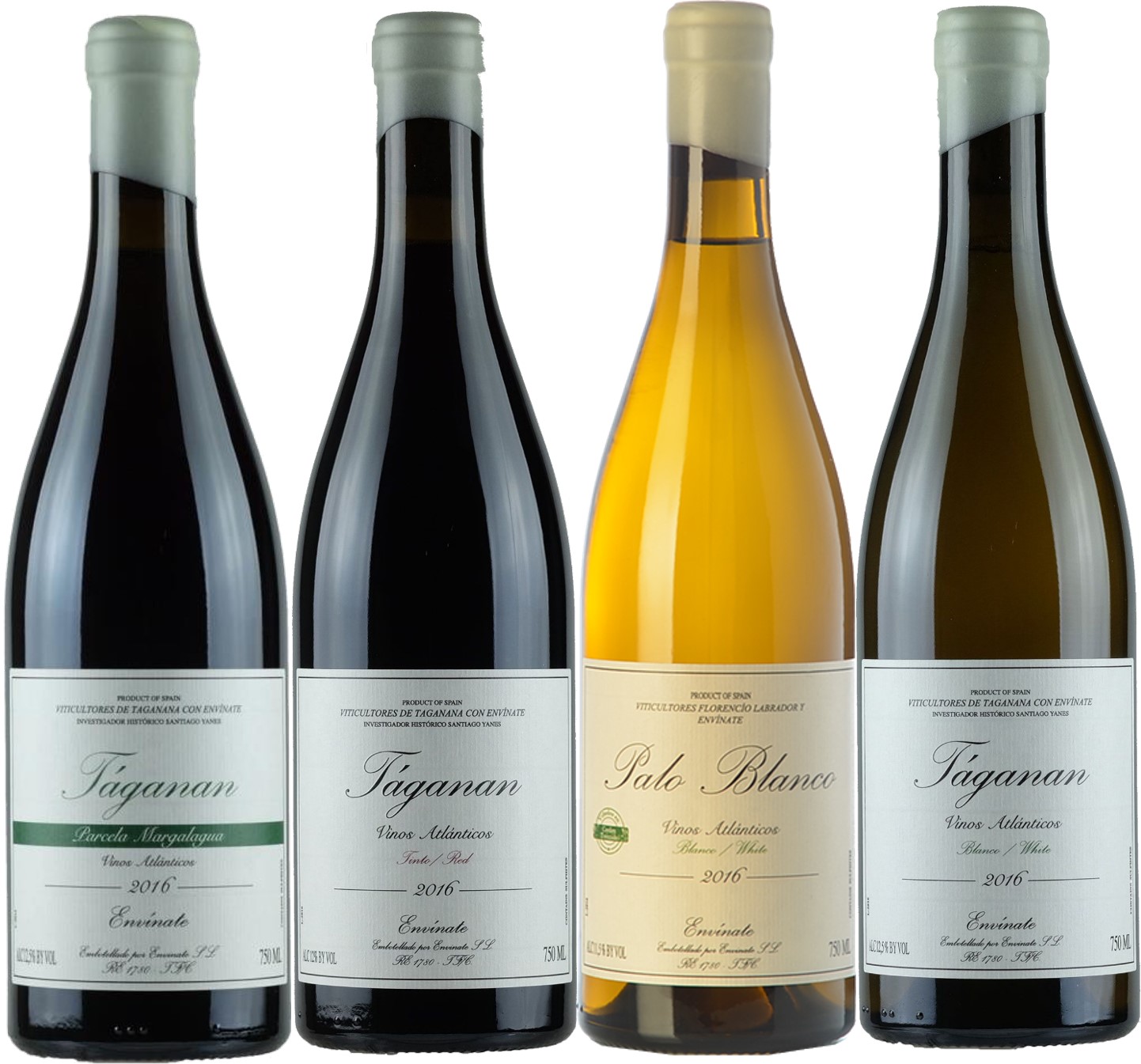 Read more about the article 週五驚嚇現貨Go—RP99 價格只需要台幣兩千出頭?? 不斷挑戰完美的Envinate