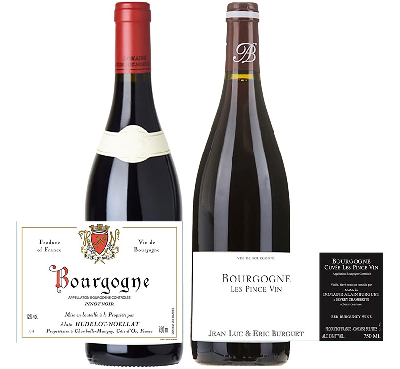 Read more about the article 週五驚嚇現貨Go–兩款偉大年份的布根地輕鬆小品