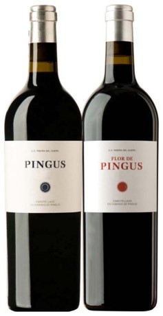 Read more about the article 倉庫挖到寶系列 : 年產量僅4000瓶的西班牙酒皇 滿分年份 還遠低於國際均價 : Pingus