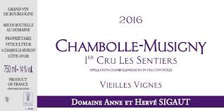 Read more about the article 週五驚嚇現貨Go—眾人引領企盼的布根地Chambolle Musigny : Sigaut 2021