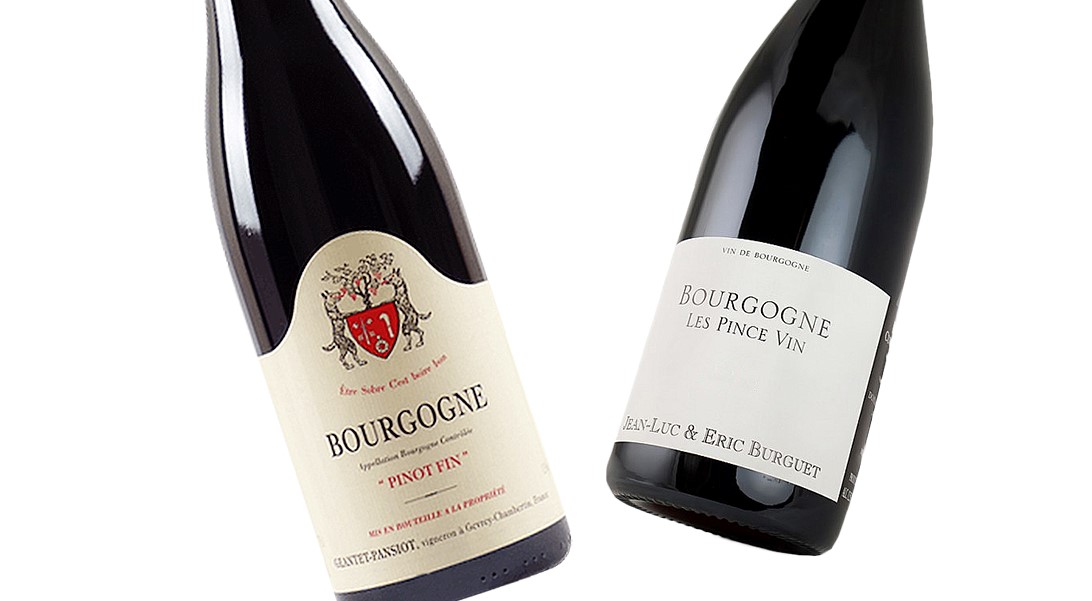 Read more about the article 週五驚喜預購—嚴選兩款布根地名莊地區級紅酒