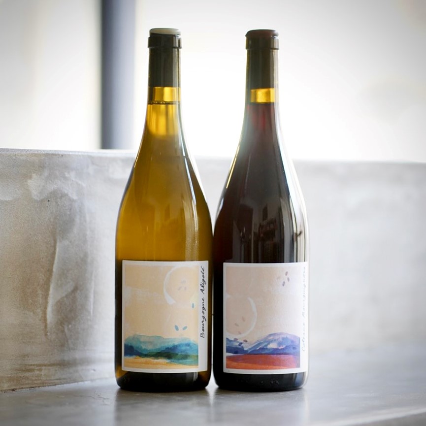 Read more about the article 2023布根地精選預購–清新秀麗的新生代布根地: La Chaume des Lies