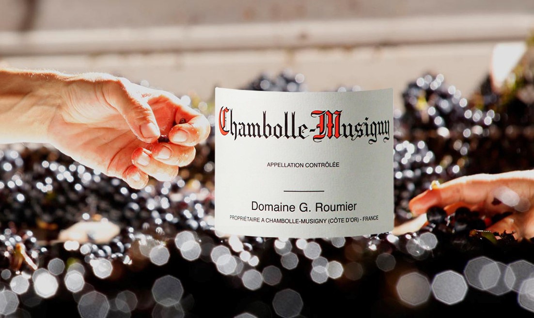 Read more about the article 優雅中的優雅 Chambolle Musigny的曠世巨星: Georges Roumier