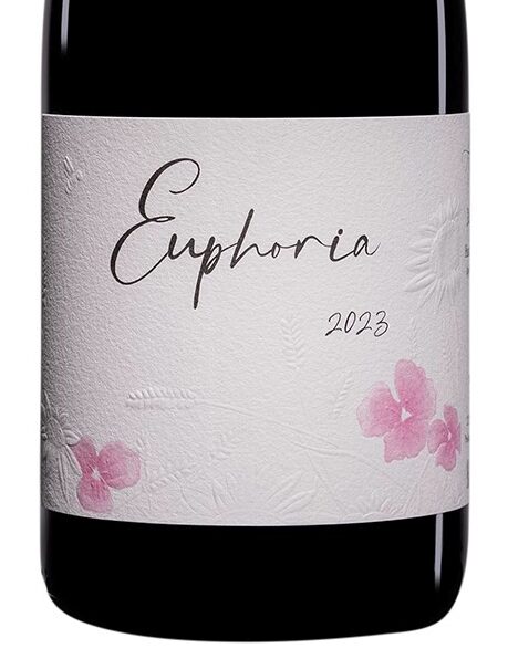 Read more about the article 布根地新生代的佼佼者:Jeremy Carteret