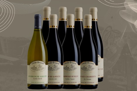 Read more about the article 曾為Leroy提供葡萄 勃根地Marsannay最歷史悠久且品質優秀的家族酒莊之一:Olivier Guyot