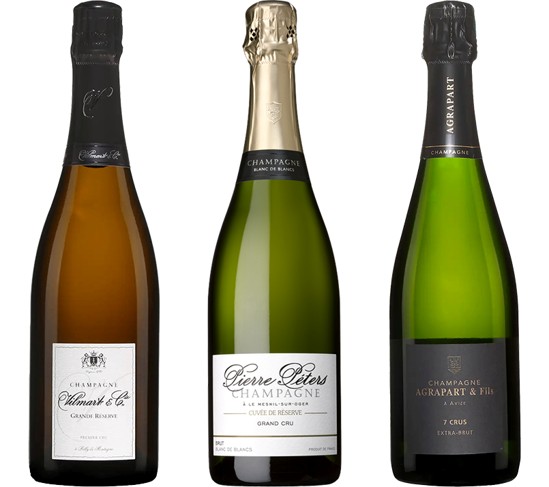 Read more about the article 週五驚嚇現貨Go—三款頂尖獨立酒農香檳特惠實施中